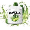 SOLID Nutrition BCAA, 300 g (Cactus/Lime)