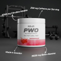 SOLID Nutrition PWO, 230 g