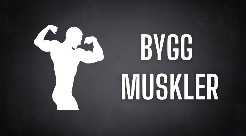 Bygg muskler image